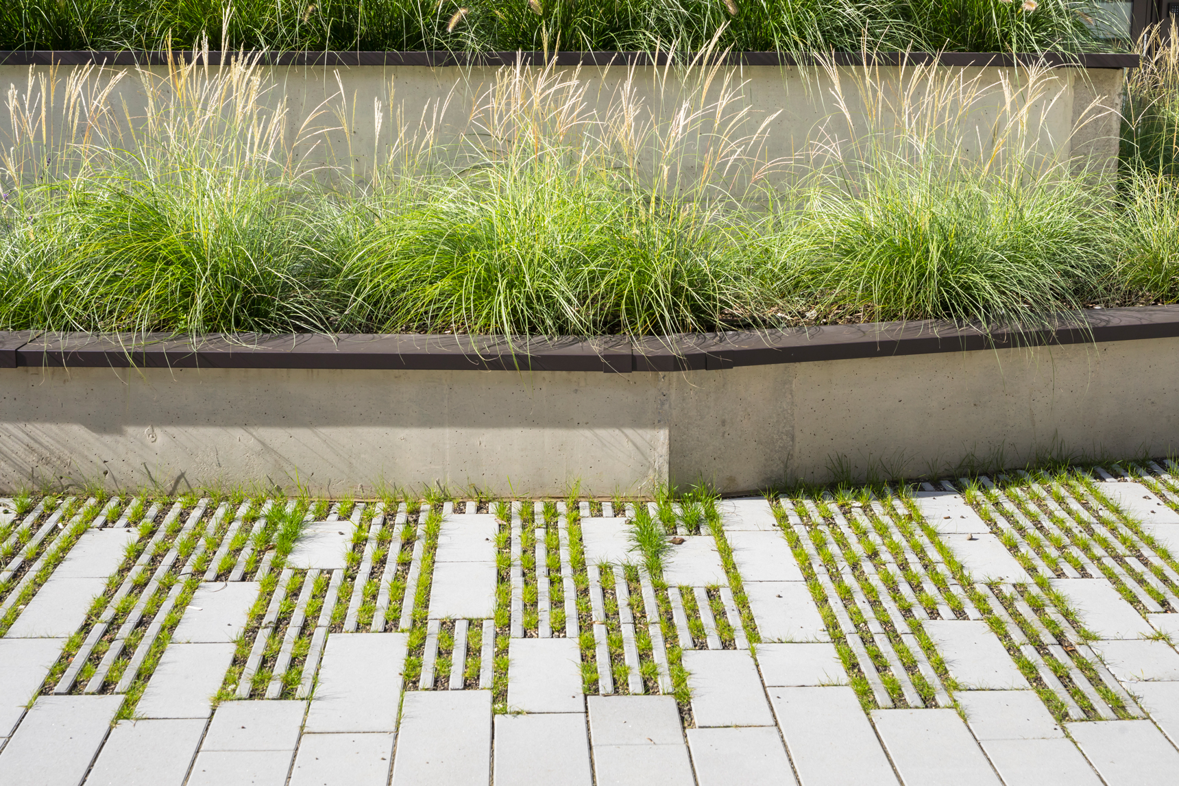 photo_SG_2025-PPX-logements-belval-luxembourg-IMP-B-038