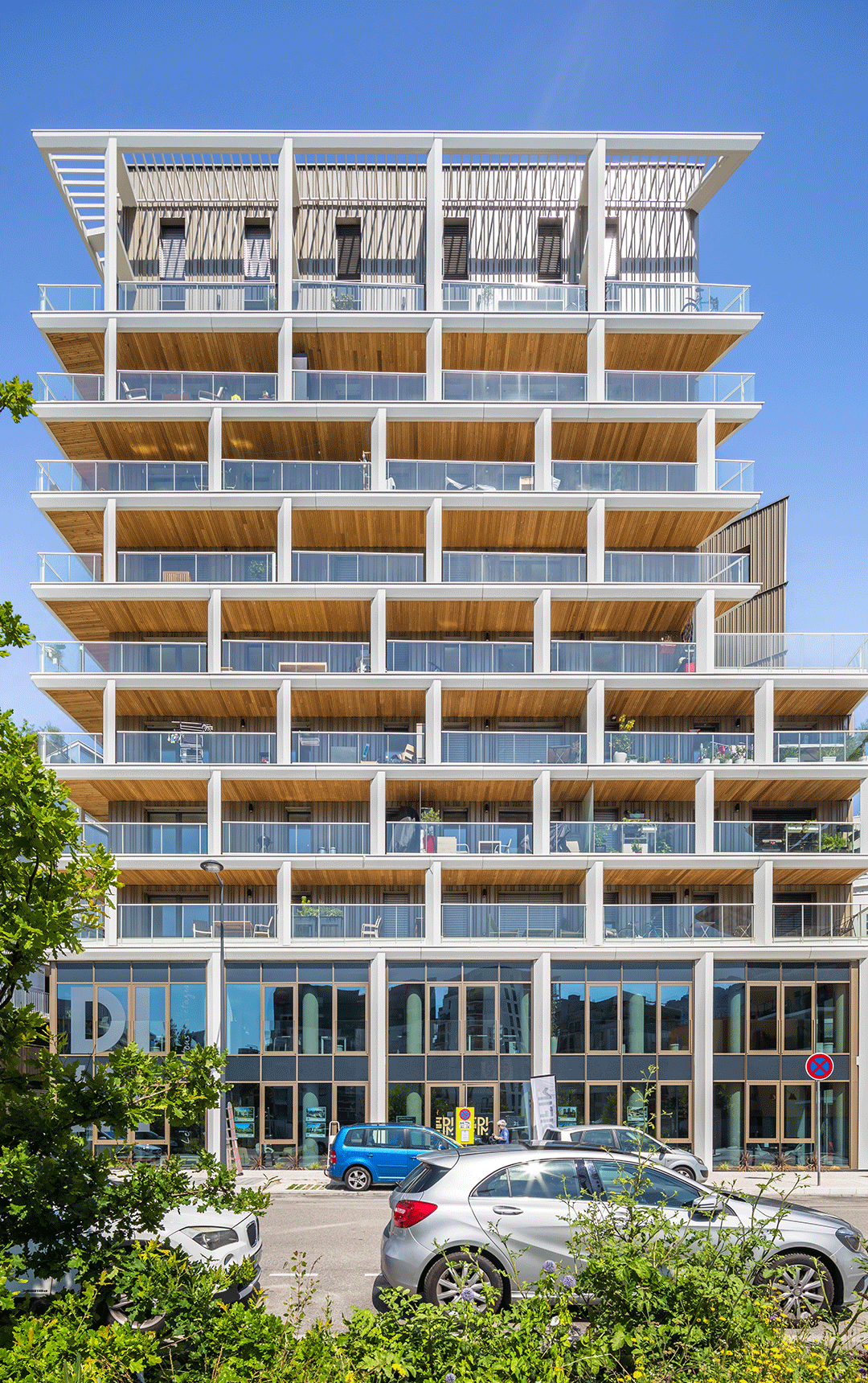 IMMEUBLE PASSIF, 44 LOGEMENTS ET BUREAUX, GRENOBLE-10