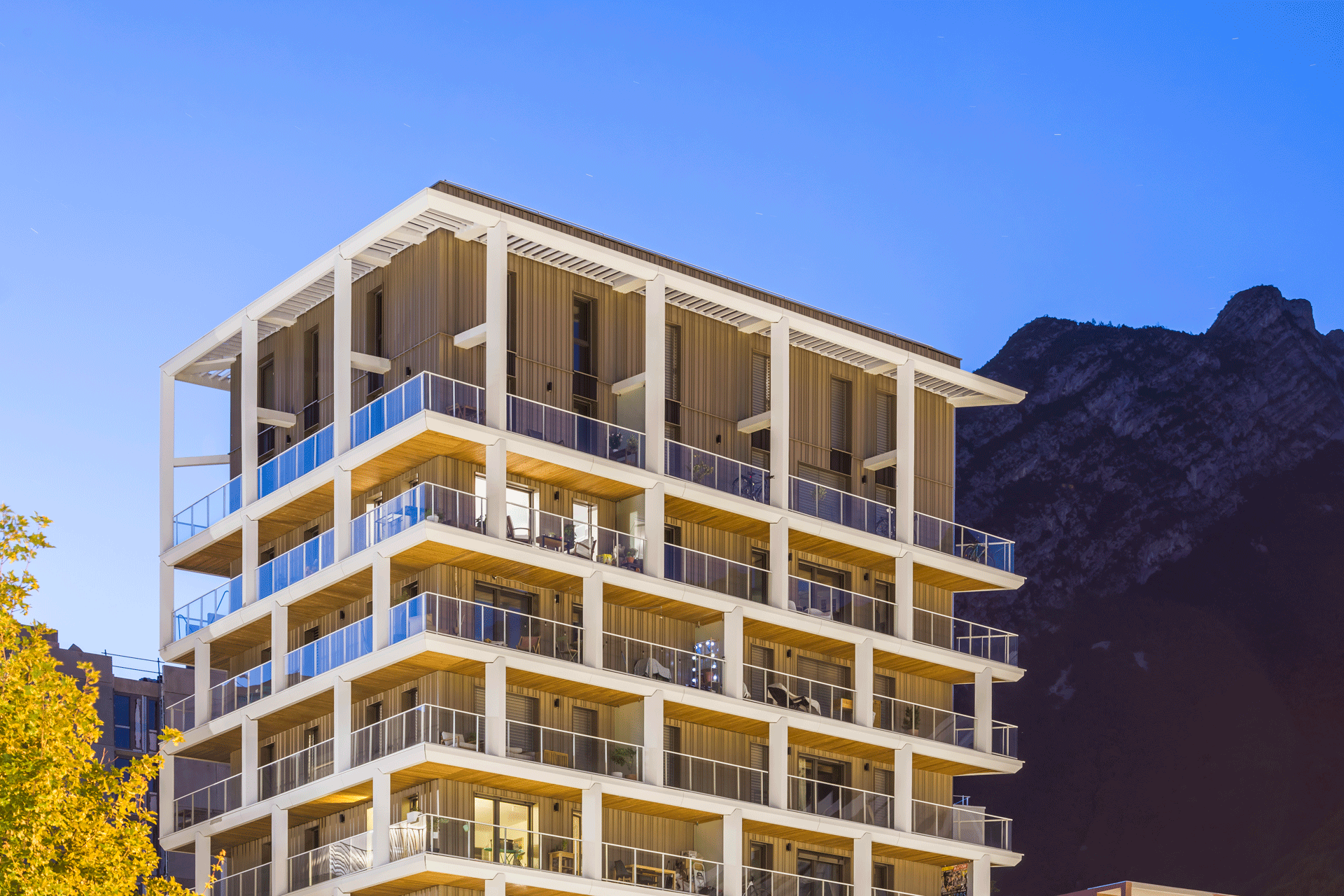 IMMEUBLE PASSIF, 44 LOGEMENTS ET BUREAUX, GRENOBLE-8